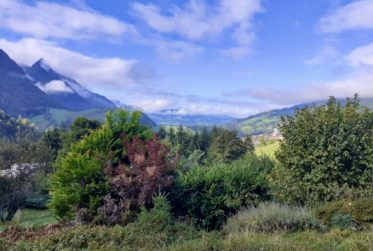 Unique à Charmey, chalet individuel de 5 pièces avec la possibilité d’occupation en résidence secondaire ou principale avec terrain constructible